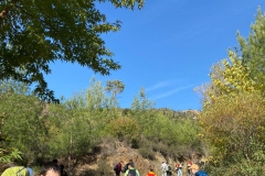 Opportunity-to-enhance-skills-6