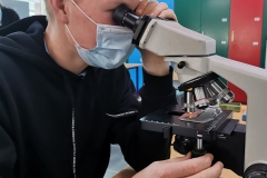 Our-biology-lesson-1