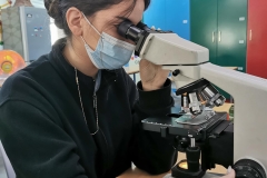 Our-biology-lesson-2