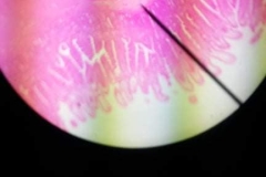 Our-biology-lesson-7