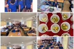 Our-Health-day-14