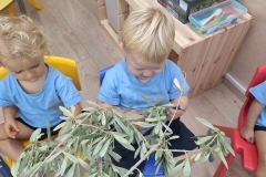 394550862_847838684012002_4325547846290274614_n