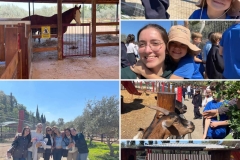 Petrides-farm-3