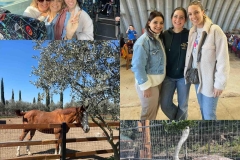 Petrides-farm-5