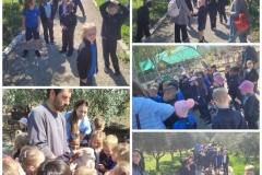 Petrides-farm-7