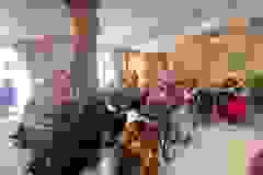 residents-of-care-homes-in-Limassol-2