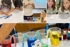 357437928_771319291663942_6259746289433820539_n