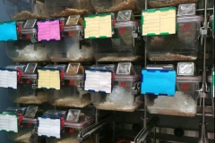 scientific-research-20