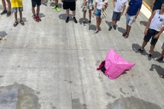 291817267_5615338765156222_6135294100482303878_n