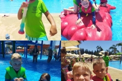 362213012_782968330499038_3540016913938725670_n