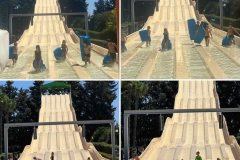 362272507_782968317165706_7481319141704329632_n