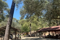 Summer-English-Language-Programme-2