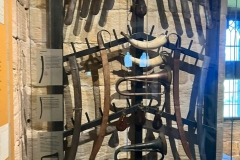 Summer-School-at-Newcastle-University-17