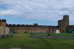 Summer-School-at-Newcastle-University-32