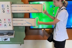 Summer-School-English-Language-Programme-1