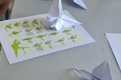 Summer-School-English-Language-Programme-13