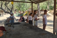 The-fifth-week-of-our-Summer-School-Programme-10