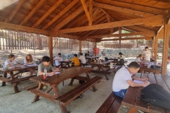 The-fifth-week-of-our-Summer-School-Programme-11