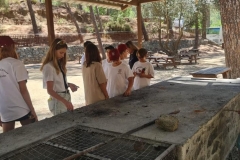 The-fifth-week-of-our-Summer-School-Programme-2