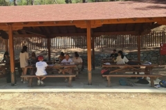 The-fifth-week-of-our-Summer-School-Programme-6