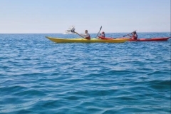 The-fifth-week-of-our-Summer-School-Programme-7