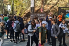 The-Horseshoe-Hike-18