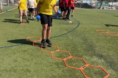 382334215_831178749011329_1839475081825082156_n