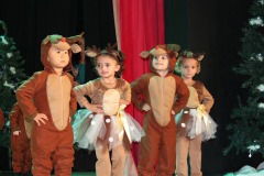 The-Polar-Express-Christmas-Show-14