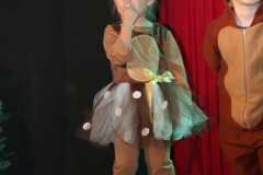 The-Polar-Express-Christmas-Show-3