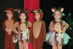 The-Polar-Express-Christmas-Show-32