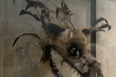 296435057_5684554988234599_3032457564954864347_n