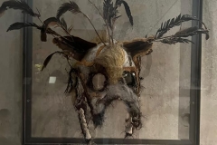 297299554_5684552581568173_3365509266297076685_n