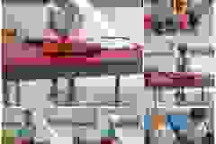 462754555_1101077158688152_1963799095264149701_n