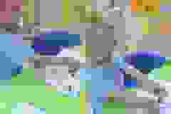 462770787_1101077212021480_3331235035949103918_n