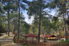 Tsiknopempti-bbq-5