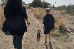 Williams-dog-shelter-in-Pareklisia-1