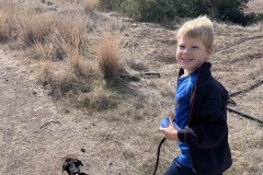 Williams-dog-shelter-in-Pareklisia-10