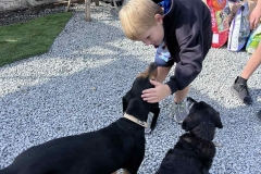 Williams-dog-shelter-in-Pareklisia-11