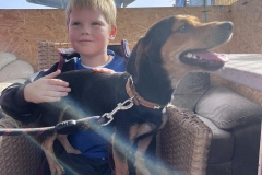 Williams-dog-shelter-in-Pareklisia-13