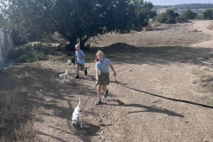 Williams-dog-shelter-in-Pareklisia-15