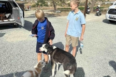 Williams-dog-shelter-in-Pareklisia-2