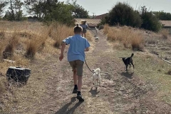 Williams-dog-shelter-in-Pareklisia-3