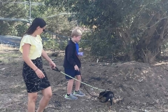 Williams-dog-shelter-in-Pareklisia-4