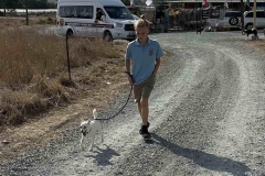 Williams-dog-shelter-in-Pareklisia-5