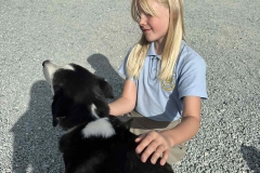 Williams-dog-shelter-in-Pareklisia-7