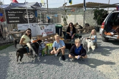 Williams-dog-shelter-in-Pareklisia-8