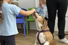 385066412_834567875339083_7646376473114944645_n