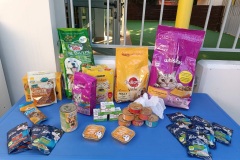 385068690_834567988672405_4747579244114321332_n