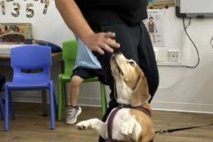 385774405_834567852005752_3238087850957994046_n