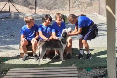 386159464_703233671832570_7606019377359018432_n